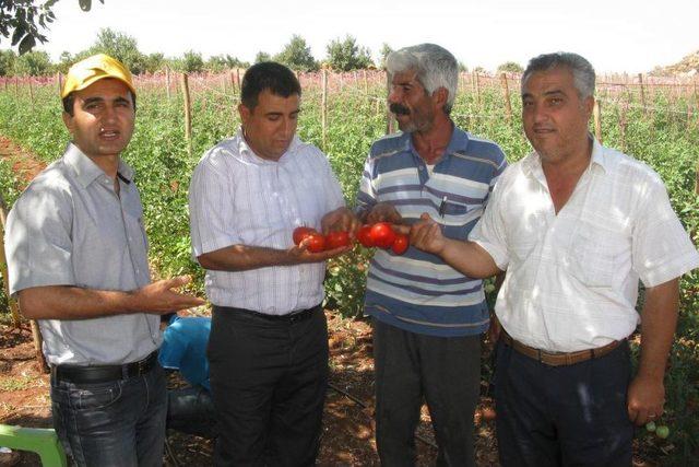 Gaziantep ten Kısa Kısa 1
