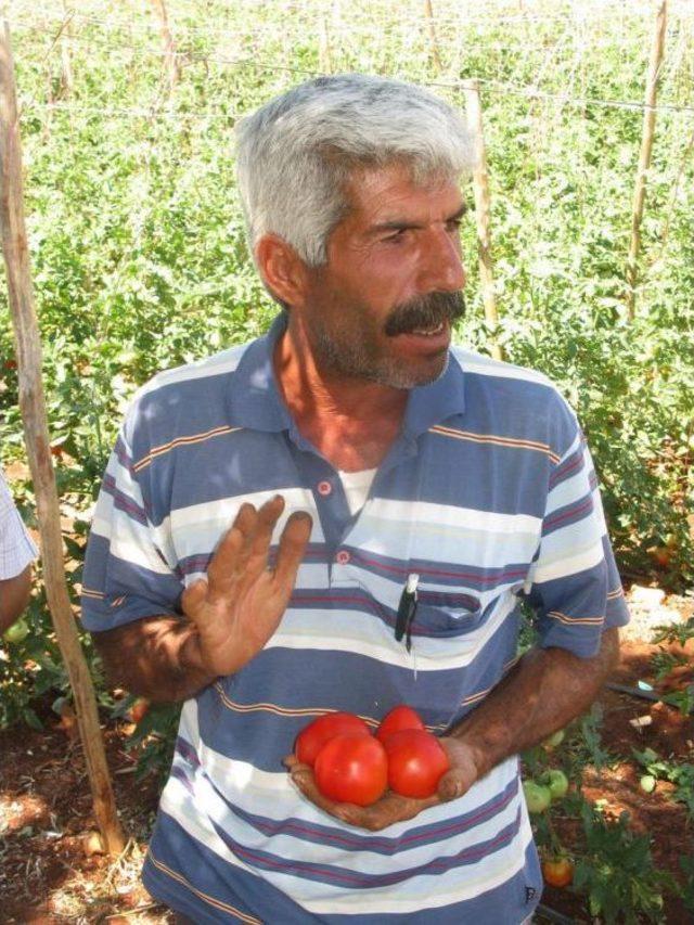 Gaziantep ten Kısa Kısa 2