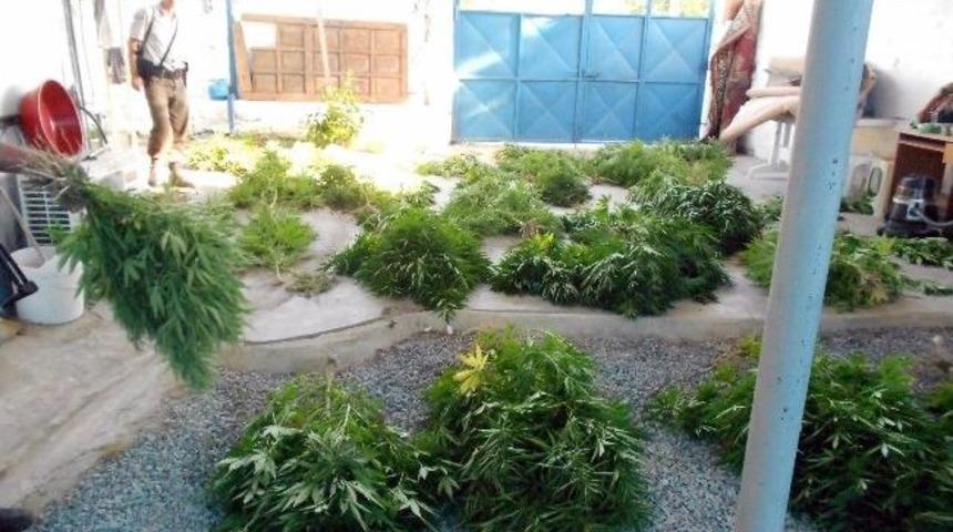 Didim&rsquo;de Jandarma Uyuşturucu Tacirlerine G&ouml;z A&ccedil;tırmadı