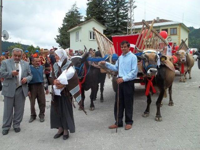 Küre 4.kilim Festivali Başladı