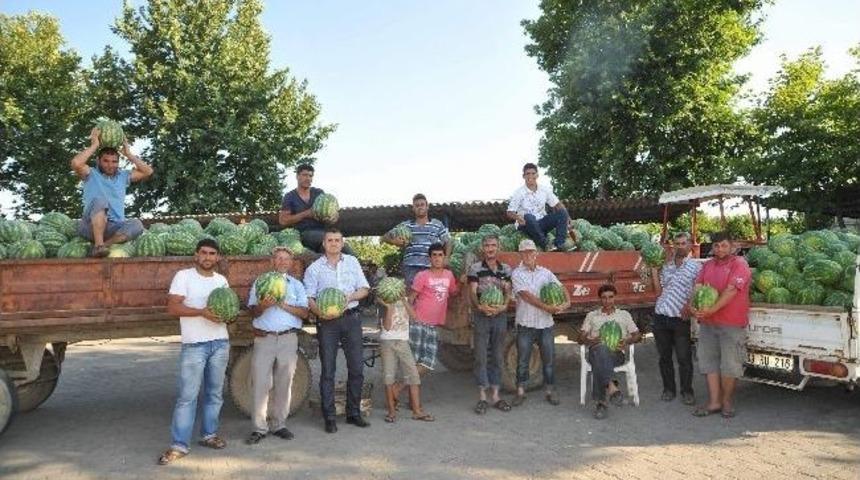 Karpuz &Uuml;reticisi Sezondan Mutlu