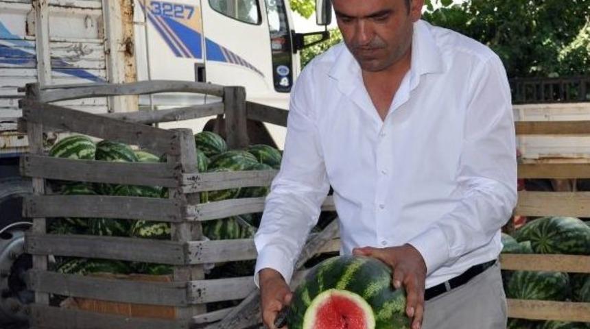 Karpuz Fiyatları Y&uuml;kselecek
