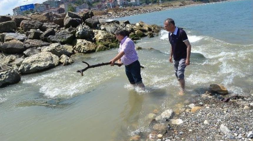 Dere Ağzının Kapanmasına Suya Girerek Tepki G&ouml;sterdiler