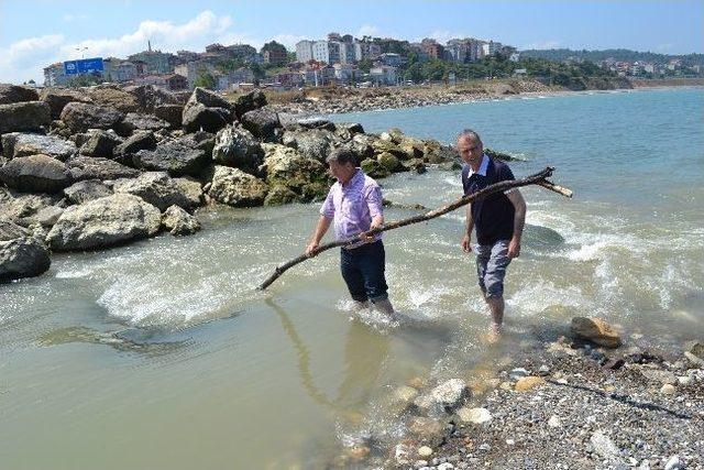 Dere Ağzının Kapanmasına Suya Girerek Tepki Gösterdiler