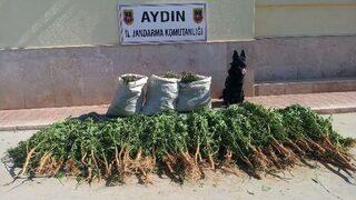 Baba Ve Oğlu Uyuşturucudan Tutuklandı