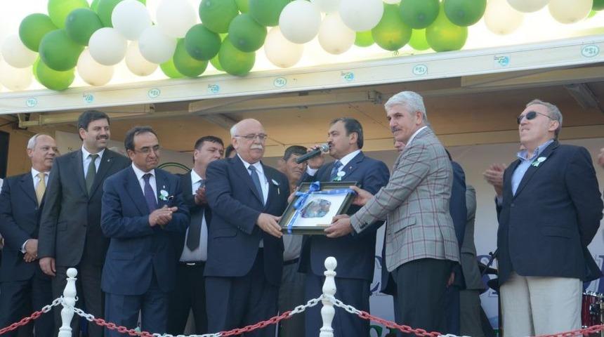 Bakan Eroğlu: Kaymaklı Lokum Değil, 33 Yeni Proje Ile Geldim