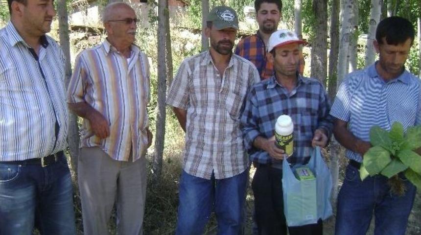 Doğanşehir&rsquo;de &Ccedil;ift&ccedil;i Tedirgin