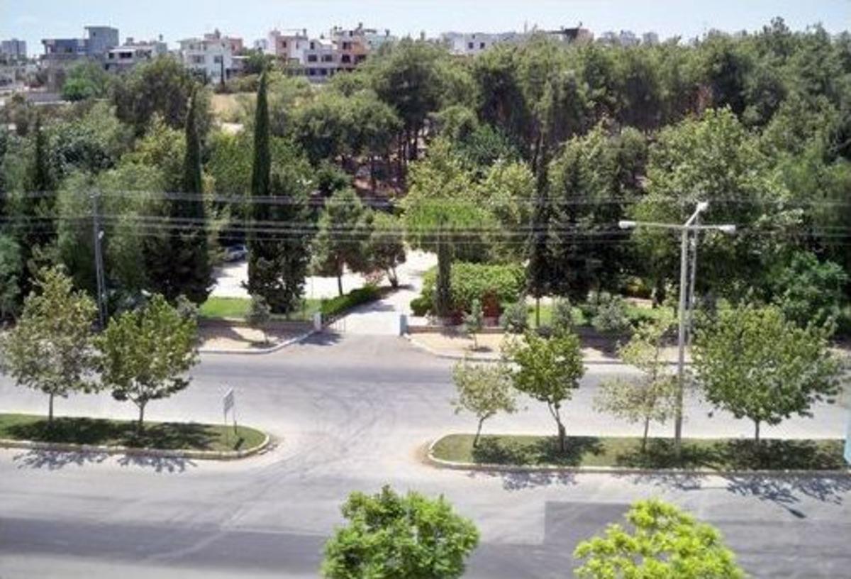 Belediye, Hizmet Binası Ve K&uuml;lt&uuml;r Merkezi Yapmak İ&ccedil;in Ağa&ccedil;ları S&ouml;kt&uuml;