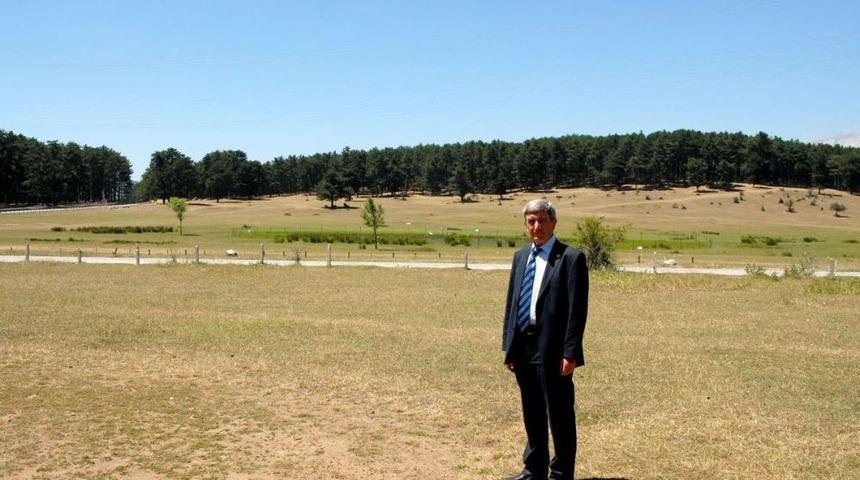 Beşiktaş Ile Galatasaray'ın Kocayayla'da Tesis Yapma Girişimi