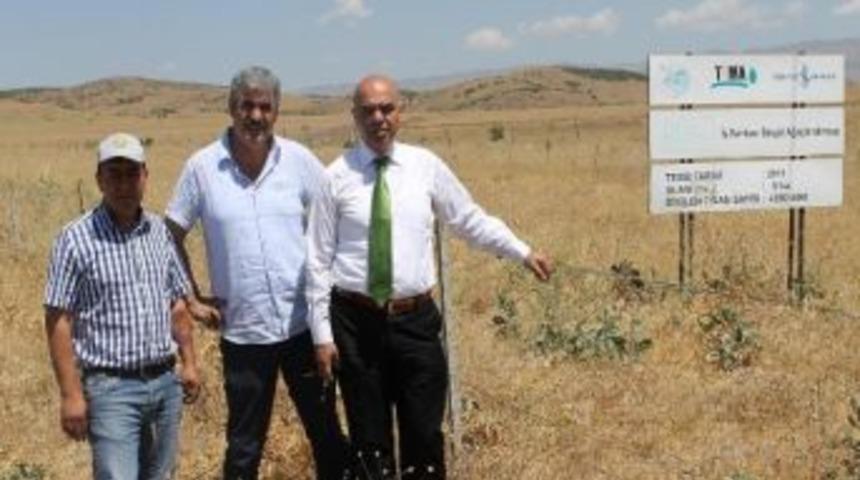 Bing&ouml;l&rsquo;de Kent Ormanı Oluşturuldu