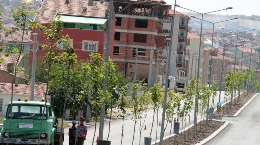 Odunpazarı&rsquo;nda Yeni A&ccedil;ılan Bulvarlar Yeşillendiriliyor