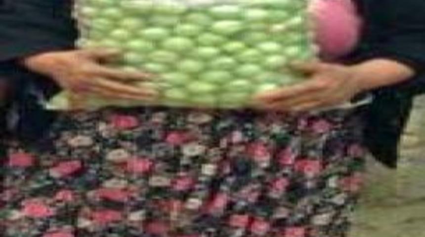 Ağa&ccedil;ta Dal Kesen Kadını Elektrik &Ccedil;arptı