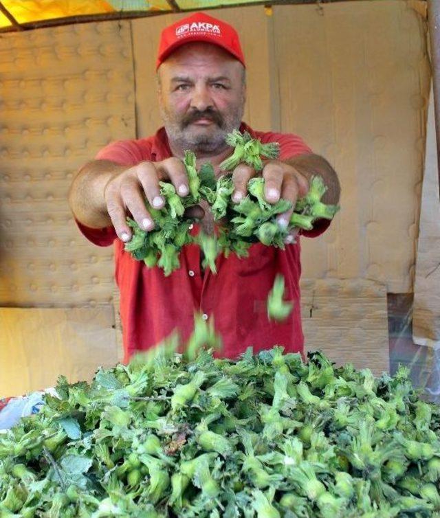 Sezonun İlk Fındığı Tezgahta Yerini Aldı