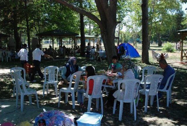 Tokat Belediyesi &Ccedil;alışanları Piknikte Buluştu 1