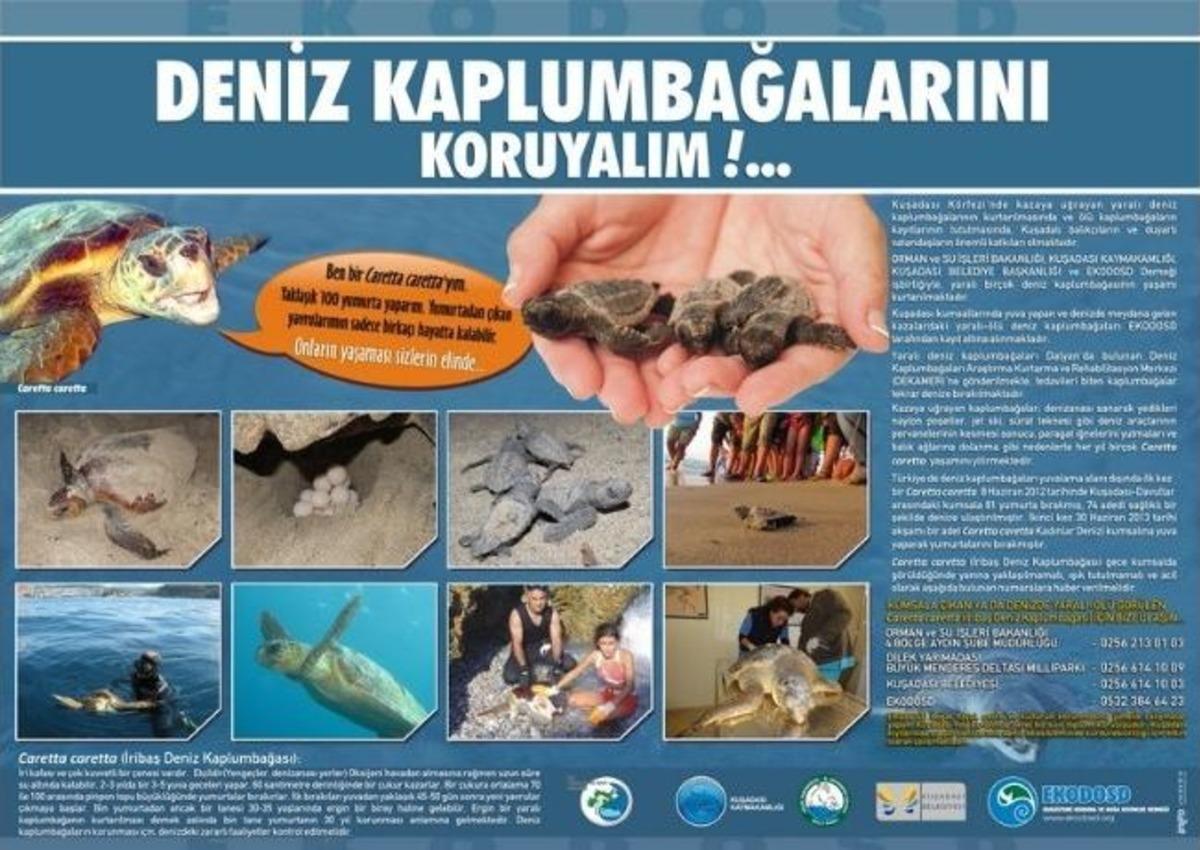 Caretta Caretta'lar İ&ccedil;in Tanıtım Panosu