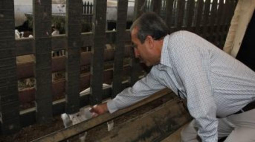 Bakan Eker Manavgat'ta Parmesan Peyniri Tesisini Inceledi