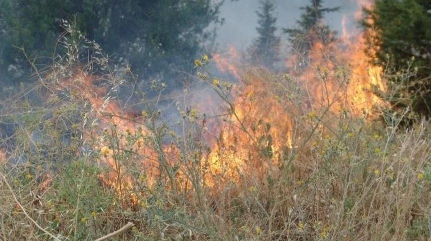 Sandıklı'da Yerleşim Yerlerine Yakın Yangın Korkuttu
