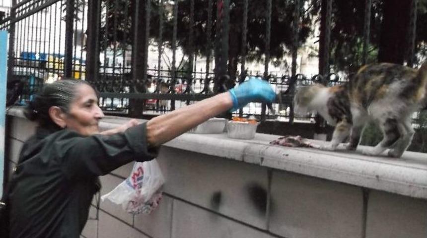 B&ouml;yle Hayvan Sevgisi G&ouml;r&uuml;lmedi