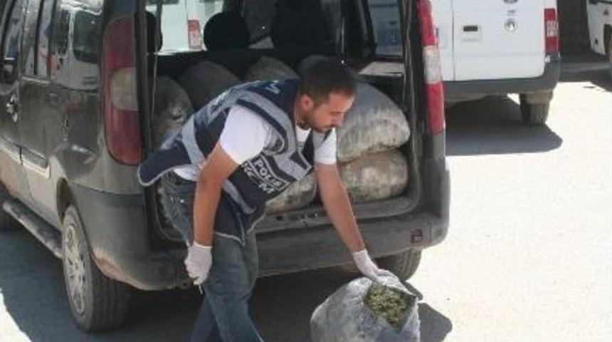 Erzincan&rsquo;da 76 Kilogram Kubar Esrar Ele Ge&ccedil;irildi