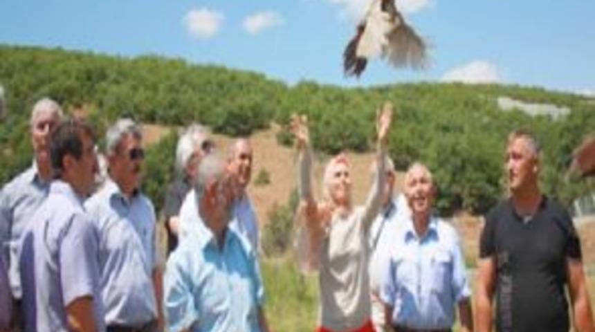 Doğaya s&uuml;l&uuml;n ve keklik salındı