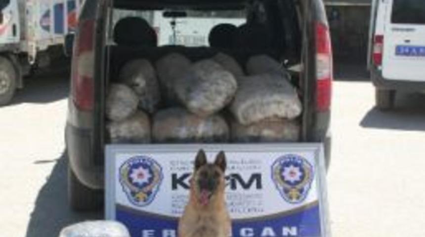 Erzincan&rsquo;da 76 Kilogram Kubar Esrar Ele Ge&ccedil;irildi