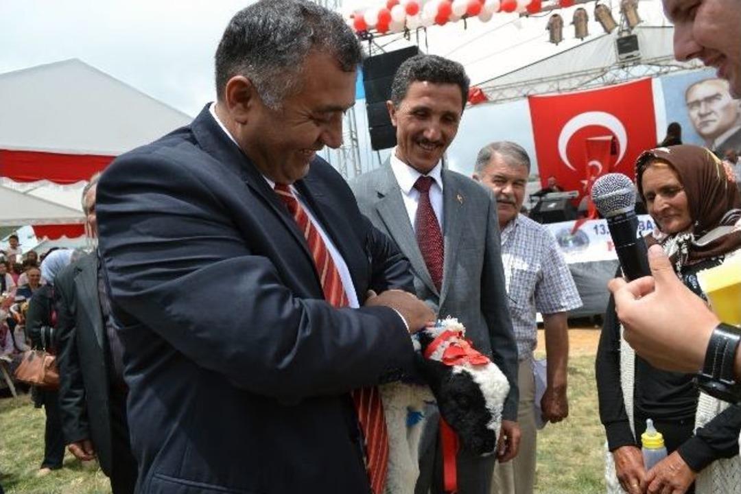 13. &Ccedil;ambaşı Yayla Şenliği