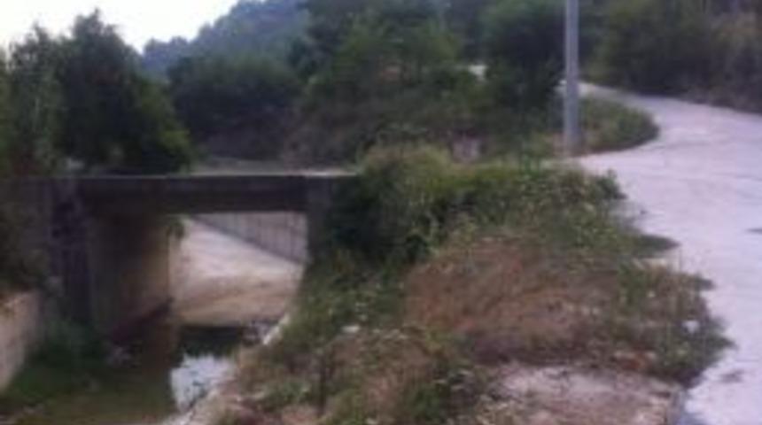 Tekerlekli Sandalye Ile Dereye U&ccedil;tu