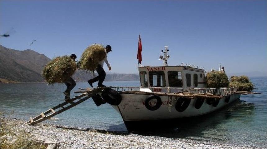 Balık&ccedil;ı Teknesi İle Ot Taşımacılığı
