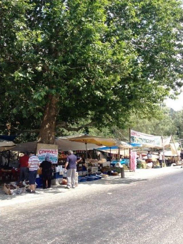 Bozdağlar’ın Arasında Serin Bir Mola: Kırkoluk