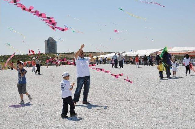 Geleneksel Uçurtma Şenliği Yapıldı