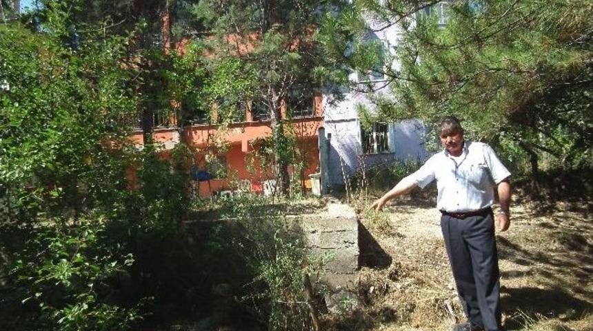 K&uuml;tahya&rsquo;da Ağa&ccedil; Katliamı İddiası