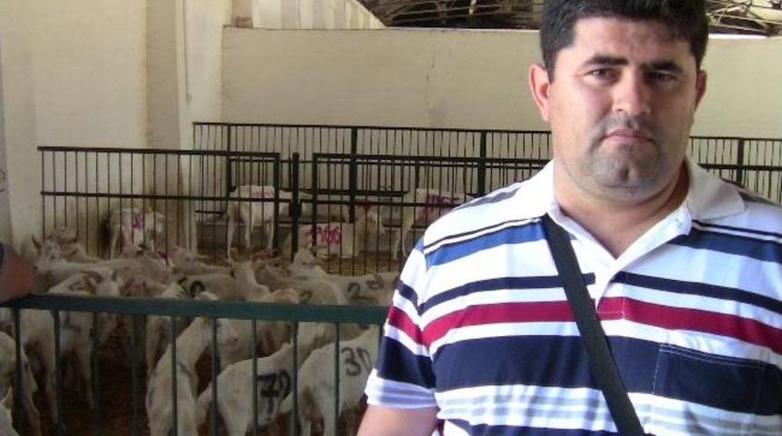 &Uuml;niversiteli Ke&ccedil;iler Satışa &Ccedil;ıkarıldı