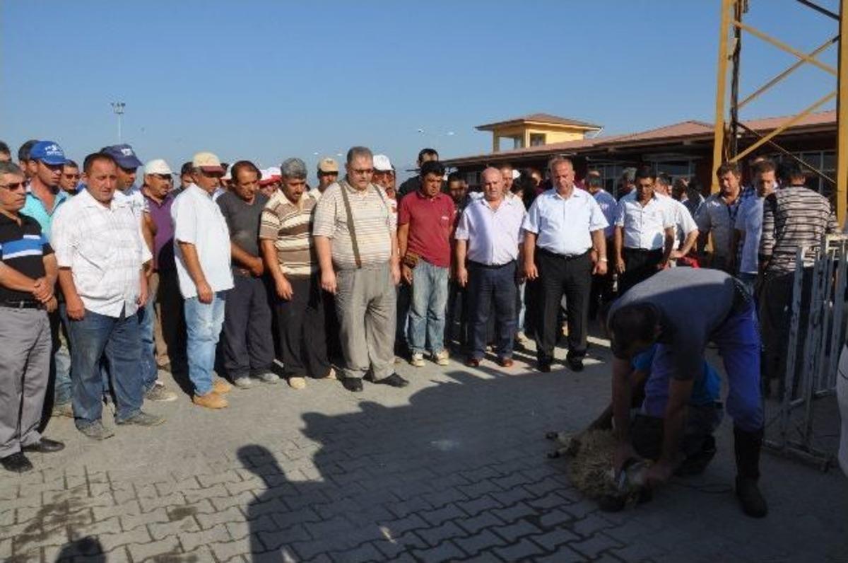 &Ouml;l&uuml;mden D&ouml;nen 4 İş&ccedil;i İ&ccedil;in Kurban Kesildi