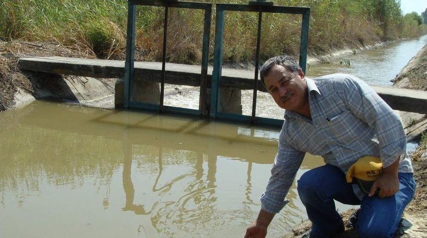 Menderes Nehri'nin Kirliliği Tarımı Tehdit Ediyor