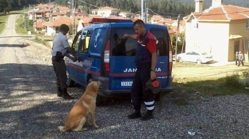 Ara&ccedil;&rsquo;ta Kaybolan Şahıs Sekiz G&uuml;nd&uuml;r Bulunamıyor