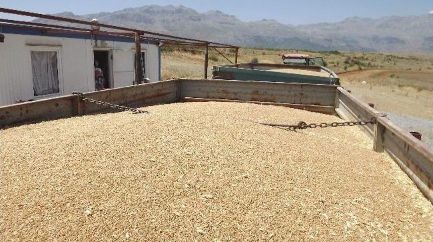 Seydişehir&rsquo;de Tmo Alım Sezonu Başladı