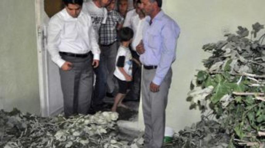 SODES Ile Ipekb&ouml;cek&ccedil;iliği Yeni Istihdam Kapısı Oldu