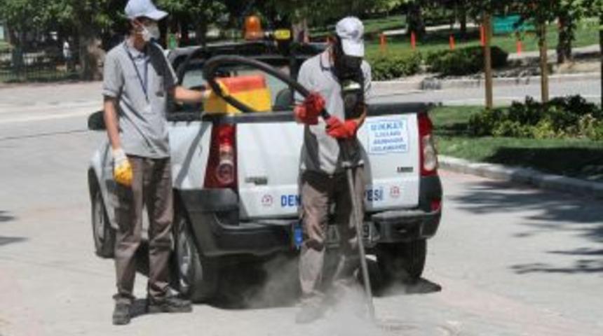 Denizli&rsquo;de Haşerelerle M&uuml;cadele S&uuml;r&uuml;yor