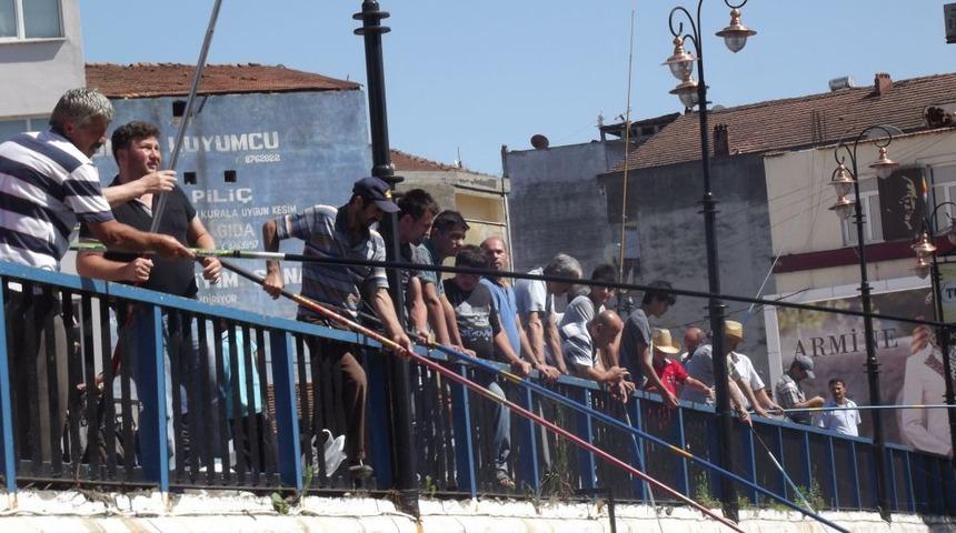 Terme K&ouml;pr&uuml;leri, Boğaz Balık&ccedil;ılarını Aratmadı