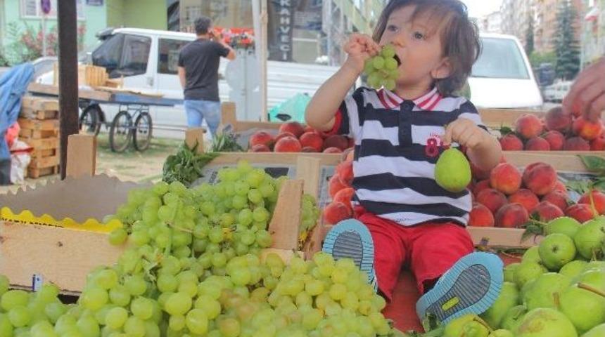 &Ccedil;ocuk Beslenmesinde Meyve Ve Sebze T&uuml;ketiminin &Ouml;nemi