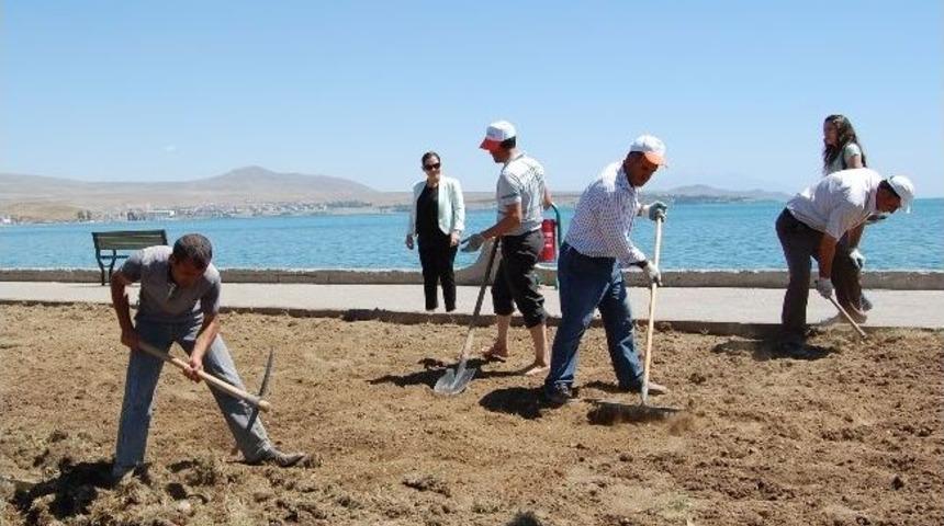 Tatvan &Ccedil;i&ccedil;ek Kokacak