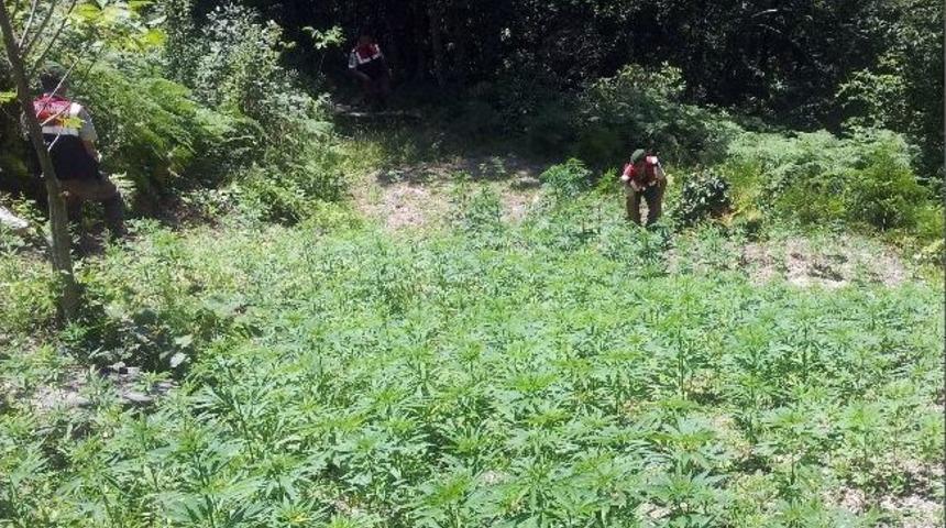 Jandarma 7 Bin K&ouml;k Hint Keneviri Ele Ge&ccedil;irdi