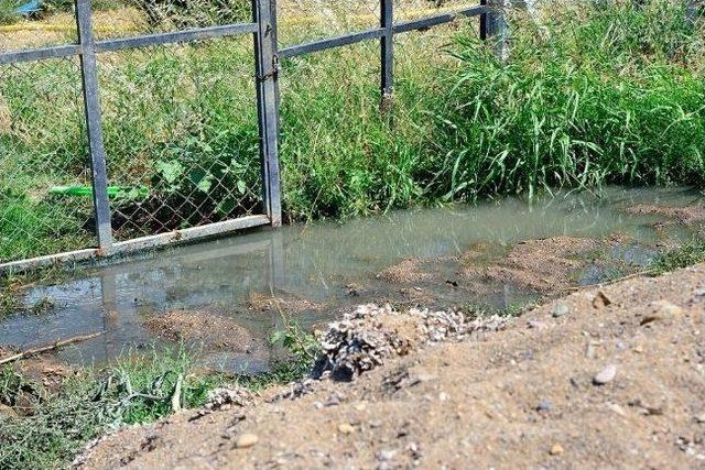 Pelitköy Sahilinde Yazlıkçıların Kirlilik Tepkisi