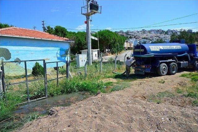 Pelitköy Sahilinde Yazlıkçıların Kirlilik Tepkisi