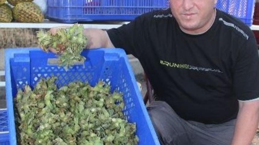 Fındık Pazara İndi