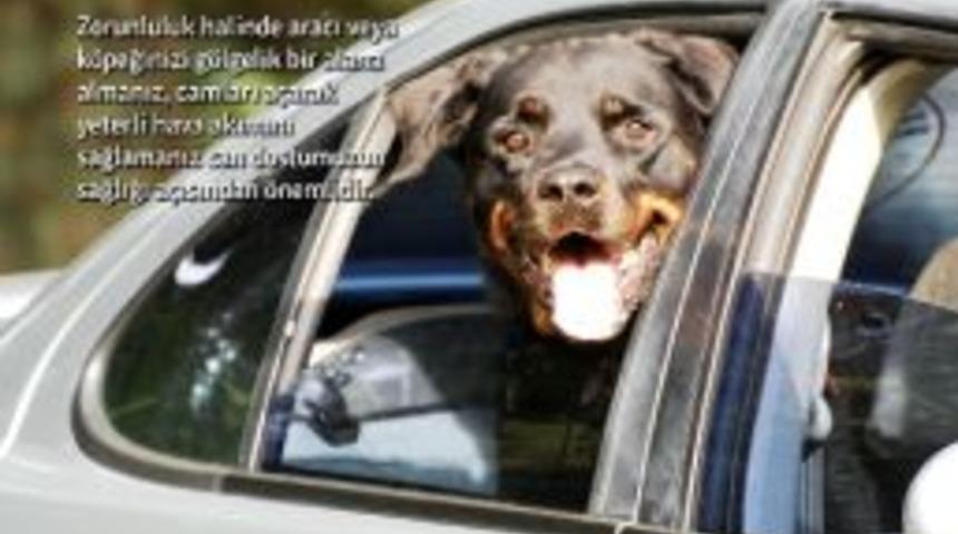 &ldquo;beni Ara&ccedil; İ&ccedil;erisinde Bırakma&rdquo;