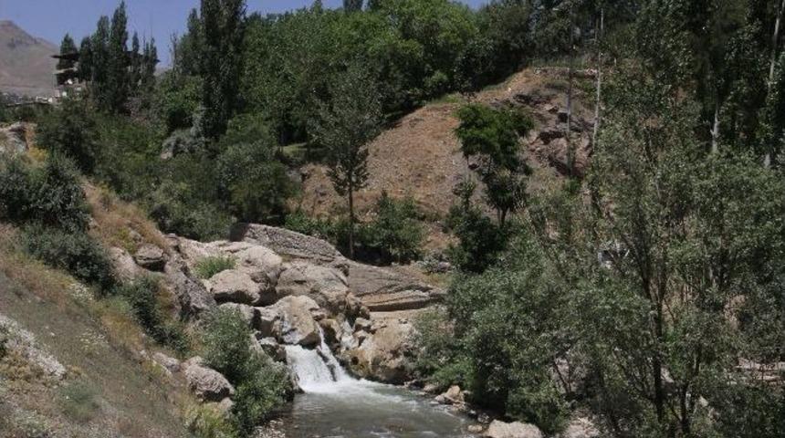 Belediye Katremas Deresi İ&ccedil;in Harekete Ge&ccedil;ti