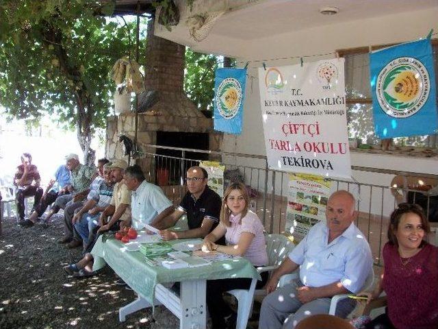 Tekirova’da Bir İlk, “çiftçi Tarla Okulu”