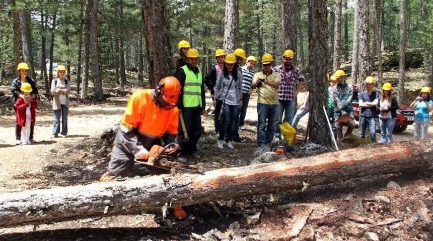 Orman M&uuml;hendisleri Ve End&uuml;stri M&uuml;hendislerine Fırsat