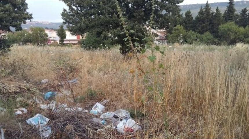 G&uuml;zelyalı&rsquo;ya Yakışmıyor